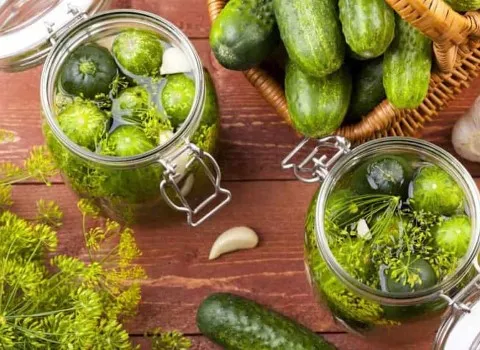 خیارشور دبه ای اعلا + قیمت فروش ویژه